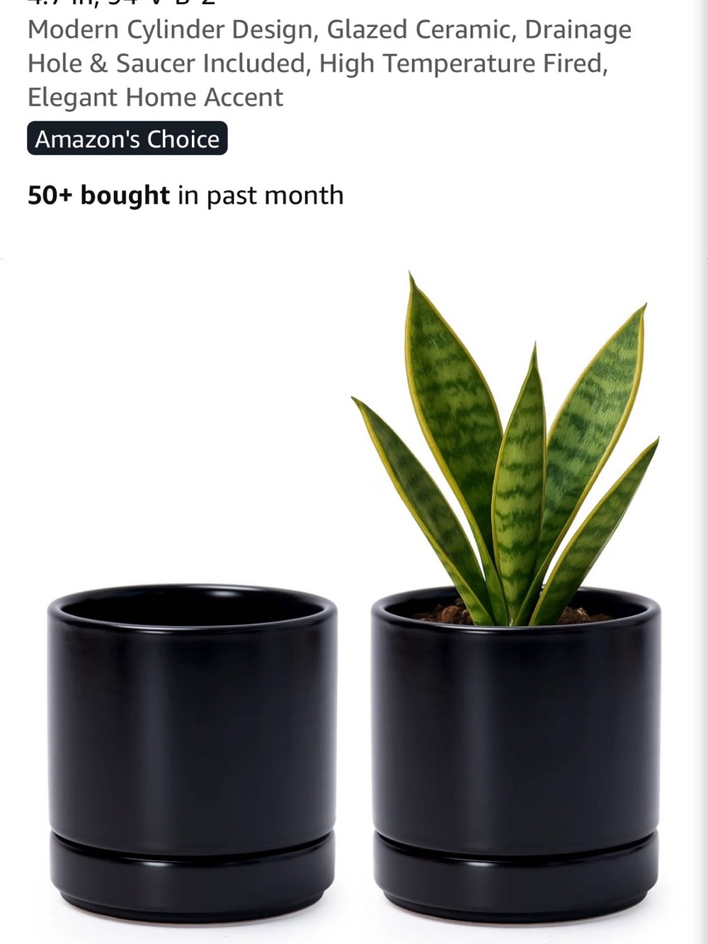 Brand New Black Ceramic Cylinder Planter with Saucer - Home Accents
